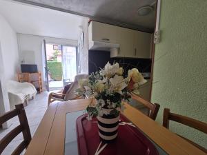 Maison de vacance avec piscine et place de parking