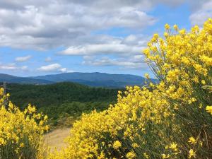 Il tuo nido nel borgo-by Goccia di Lago