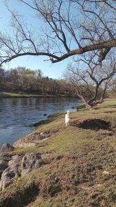 CASONA Malva del Rio