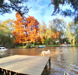 Cabaña entre arboles - 3hvězdičkové hotely ve městě Tigre