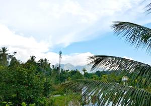 Re-Leaf Hom-Treat Homestay