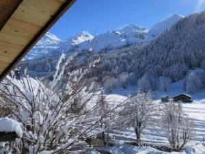Chalet le Findri
