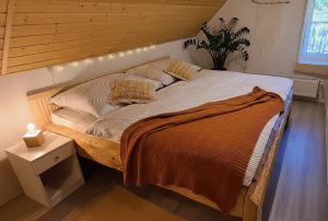 Apartmán u Ještěrky s finskou saunou - 4hvězdičkové hotely ve městě Jeseník