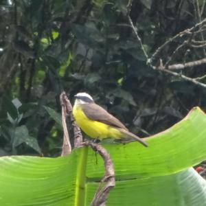 El Paraíso Escondido De Los Yumbos