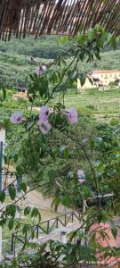 Bike NIGHT-bike friendly, cozy loft, Finale Ligure