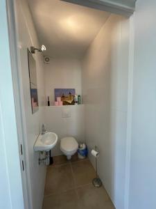 Appartement Rez de chaussée