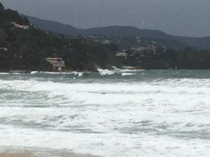 Le verger des Naiades