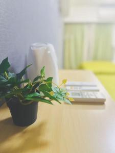 Shinjuku新宿公園