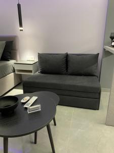 Crystal Grey Elite Apartment 2