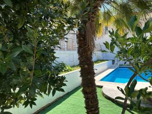 Budva City - Villa Antic - Private Pool