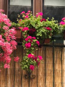 Casa Vacanza Finalmente