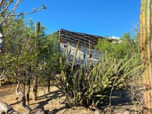 Boutique Campers La Ventana, a pasos de la playa