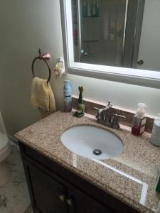 Dream Apartment River and Metro and Old Town Alexandria