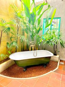 Tropicana Hideaway Hikkaduwa