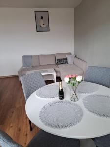 Apartmans MWM Brno 3