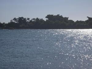 Negril Ocean View Apartment