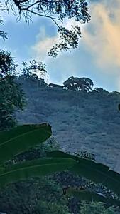 Camping São Conrado com cachoeira exclusiva, perto da praia e da Pedra Bonita