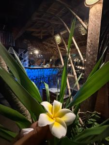 Zhayas Beach & Cottages