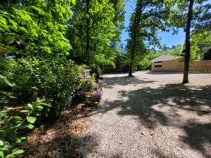 Secret Wellness Oase