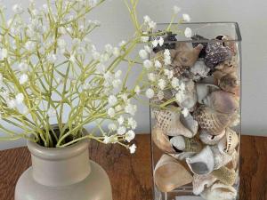 Bougain Villa Studio 2