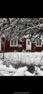 Villa Apple Garden