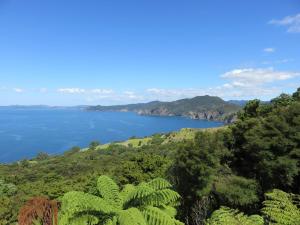 Tranquility Base - Coromandel