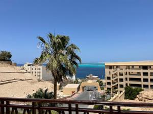 استديو ايجار في الغردقه 206