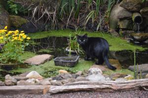 Chambre dans le bocage normand
