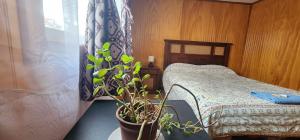 Habitación Privada, Sector Central y Costanera