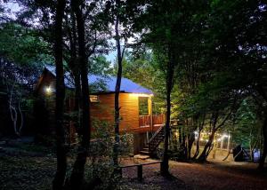 WoodLand Tskhvarichamia Private Cottage in Forest , 25 min from Tbilisi, Easy Access