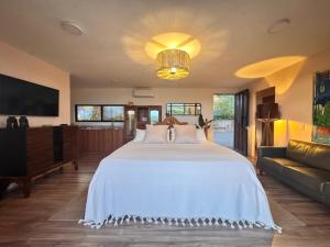 Pegaso Retreats San Miguel de Allende