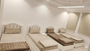 النبلاء الفضي