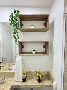 405B AP no Brás c Wi-Fi e Academia