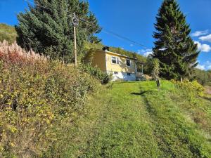 Kåfjord aurora northern light