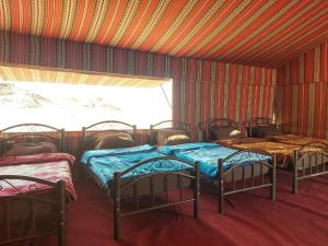 Stars Night Camp