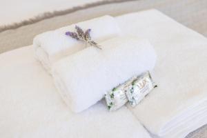 Las Tipas mini loft Cafayate