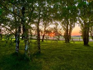 Domaine des Anes - Gite des Mûriers