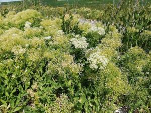 Panoramic Retreat in Borgnaes - By Traum Ferienwohnungen