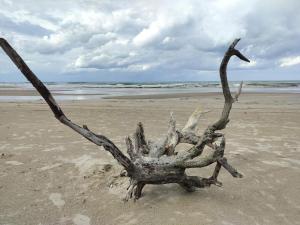 6 person holiday home in Bindslev-By Traum