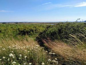 4 star holiday home in Rønde-By Traum