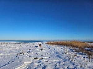 6 person holiday home in Ørsted-By Traum