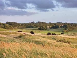 6 person holiday home in Skals-By Traum