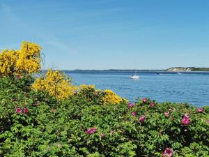 8 person holiday home in Højslev-By Traum