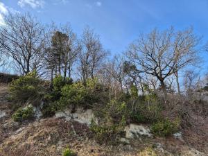 6 person holiday home in Thyholm-By Traum