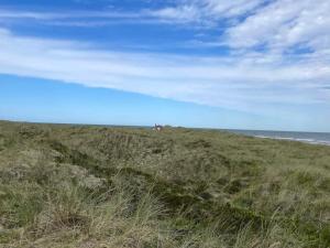 5 star holiday home in Læsø