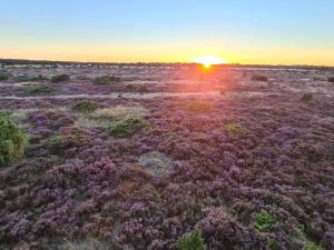 5 star holiday home in Hadsund