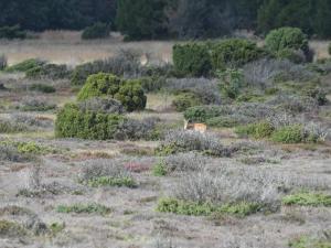 5 star holiday home in Hadsund