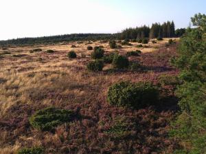 5 star holiday home in Hadsund