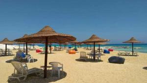 ستيلا هايتس