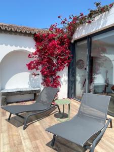 Anns Paradise Guesthouse